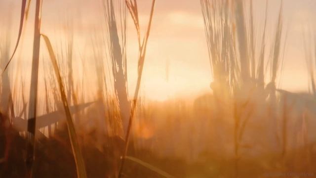 Забывают, забывают /Вадим Шефнер/ смотреть онлайн