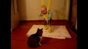 приколы про животных и малышей, смешные дети