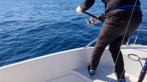 РЫБАЛКА,ТУНЕЦ в Приморье!