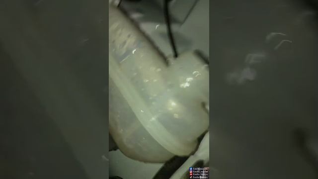 Cómo purgar agua-refrigerante de Chevrolet N300-N200 смотреть онлайн