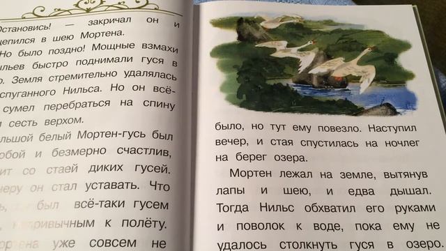 Чудесное путешествие Нильса Часть 1 я смотреть онлайн