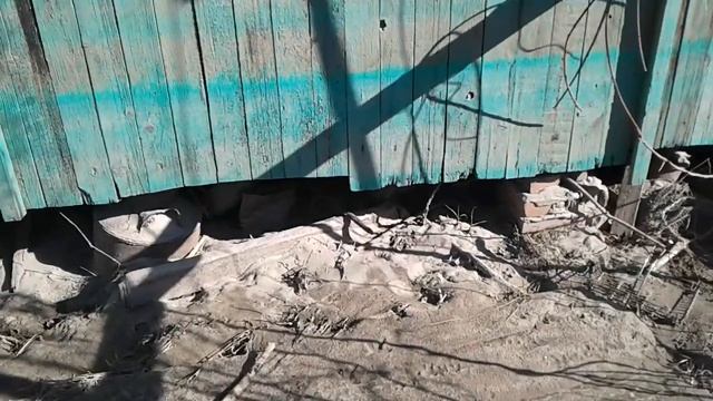 Дачный сезон закрыт. Дача убита! смотреть онлайн