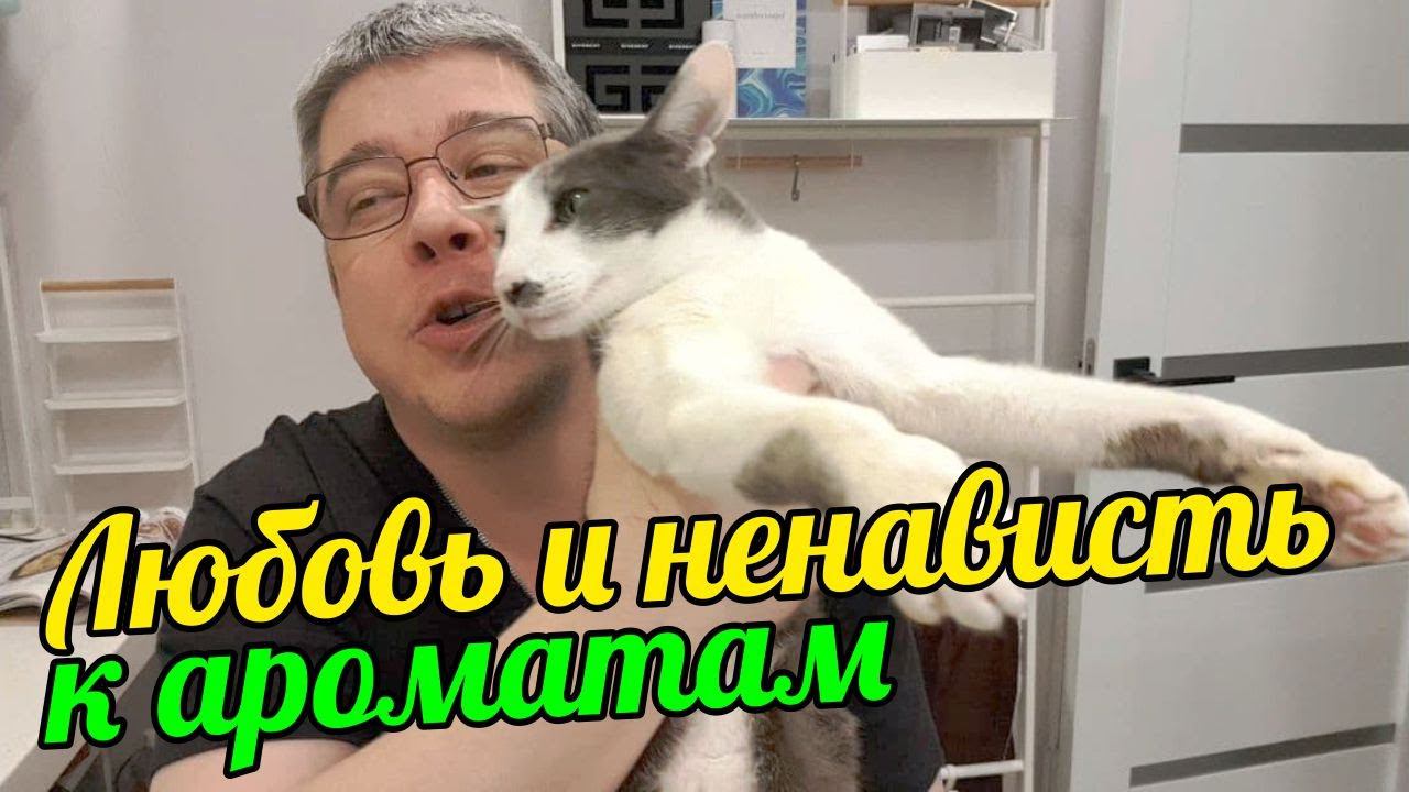 КАК МЫ ВЫБИРАЕМ ЛЮБИМЫЕ ПАРФЮМЕРНЫЕ БРЕНДЫ? ПОЧЕМУ НЕ ПРИЕМЛЕМ ИНЫЕ? смотреть онлайн