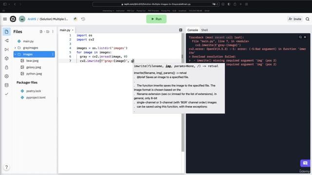 Solution - Convert Multiple Images to Grayscale | Automate Everything with Python смотреть онлайн