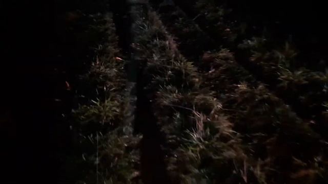 Ховер м2 смотреть онлайн