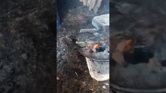 Коптит мясо конина смотреть онлайн