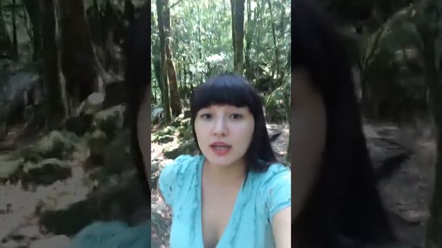 Почему появляются долги? смотреть онлайн