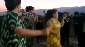 Гурухи кабуторон туя кафондан бо ракс