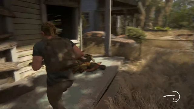 The Last Of Us 2 [Одни из нас 2] все коллекционные предметы [Констанс, 2425]
