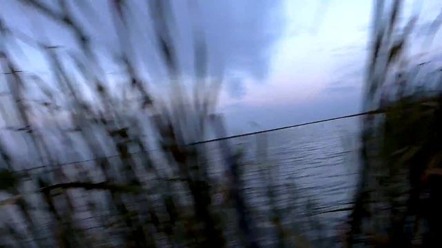 Шикарная охота на утку. Часть 1 смотреть онлайн