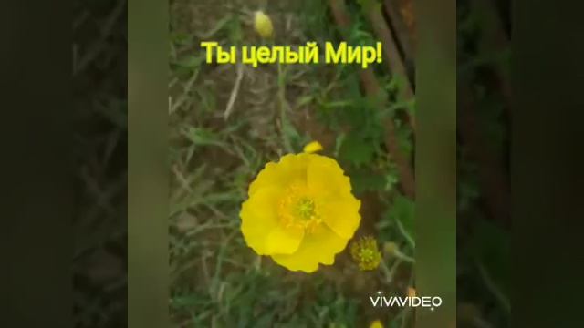 Юля,это тебе! смотреть онлайн