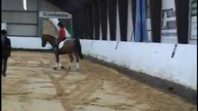 Ringkøbing Hest смотреть онлайн