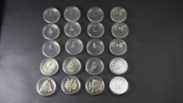 Эзотерический источник силы