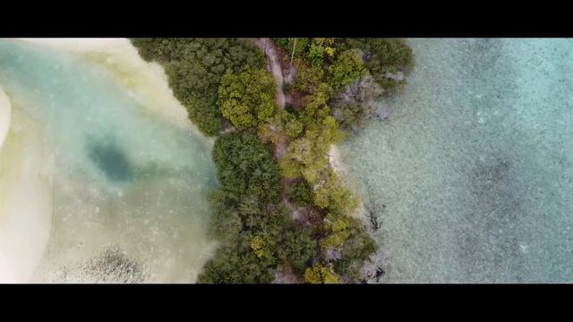 HA.Kela Your local Island. смотреть онлайн