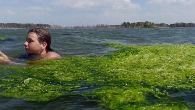 Как мы с,ездили в Гуселетово. смотреть онлайн