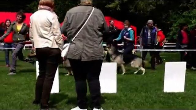 Кобели рабочего класса смотреть онлайн
