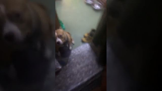 что делать если отключи свет за долги по жкх (незаконным путем) смотреть онлайн