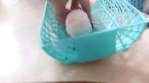 Тайная жизнь домашних животных 1