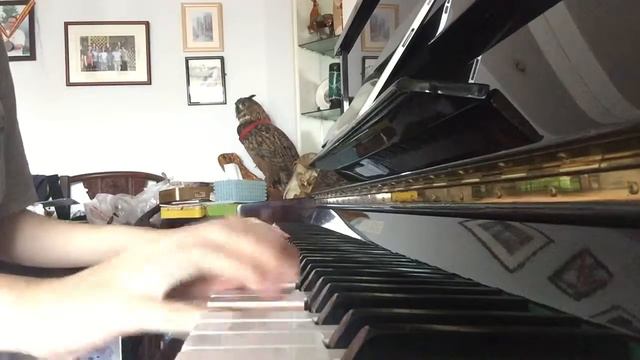 Croatian Rhapsody by Maksim Mrvica смотреть онлайн