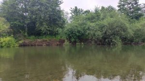 Где река Шкотовка впадает в море... Прекрасное место для отдыха от городской суеты...