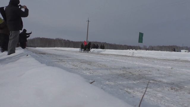 Конные скачки.Заезды и награждение. Праздник Севера Мыс-2022.