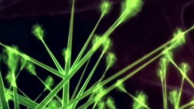 САМЫЕ НЕОБЫЧНЫЕ НАСЕКОМЫЕ В МИРЕ смотреть онлайн