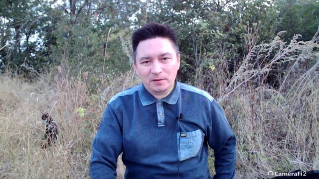 Гвоздь в твердой стене смотреть онлайн