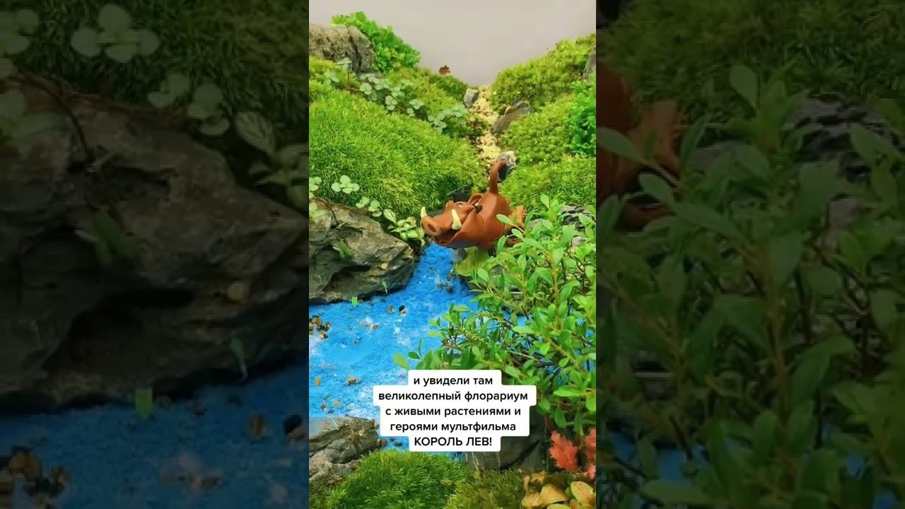 Флорариум в стиле "Король Лев" #корольлев #lionking #растения #exomenu #экзоменю #флорариум смотреть онлайн