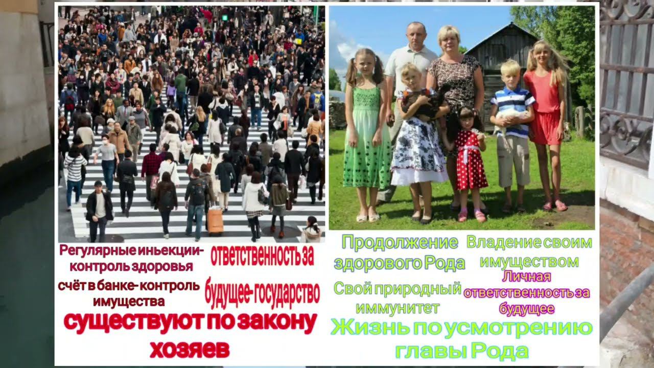 В чем разница дикого зверя и домашнего? Ты понимаешь о чём Я? Miroslav смотреть онлайн