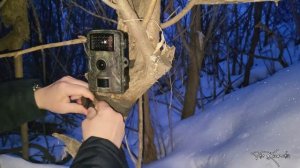 ФОТОЛОВУШКА WILD HUNT DL001 / ПРИШЛОСЬ ВЕРНУТЬ