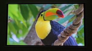 Обзор самого яркого 4K проектора Formovie X5. Лидер по яркости и размеру экрана до 1000 дюймов!