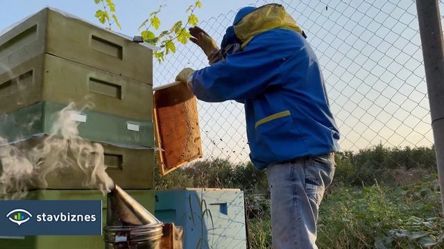 Как создать ПАСЕКУ у себя на участке? Своим опытом поделился житель Ставрополья смотреть онлайн