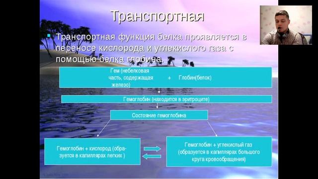 БелОк. Мышцы. Питание. Где содержится. Виды. Радик Хамидуллин смотреть онлайн