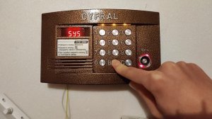 Включение Общего и Индивидуальных кодов на домофоне Cyfral-CCD2094.1.