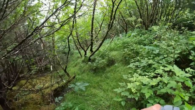Venture Re-Discovers Southeast Alaska. Episode 9 смотреть онлайн