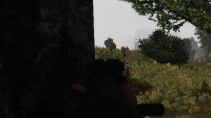 Первый день в STALKER Anomaly Gamma