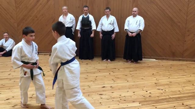 Yoshinkan Dojo, Junior Demonstration for Charity Seminar смотреть онлайн