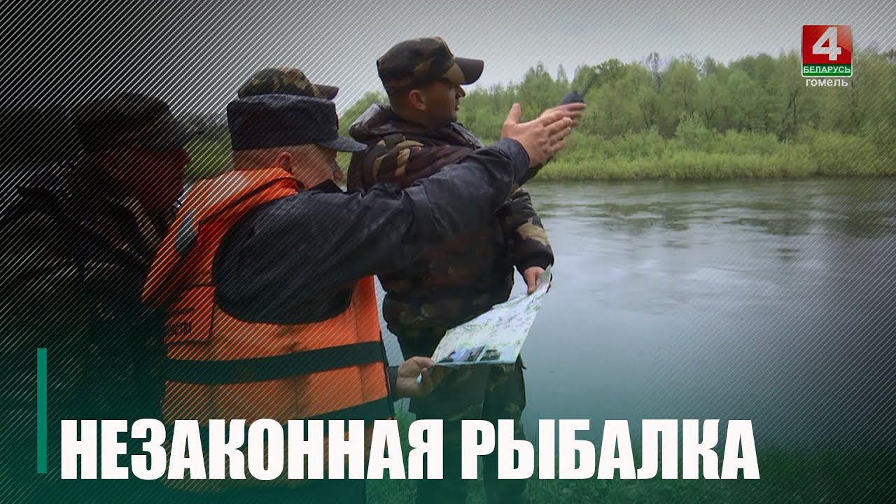 На период нереста рыбы в Беларуси ограничены рыбалка и судоходство по акватории водоемов смотреть онлайн