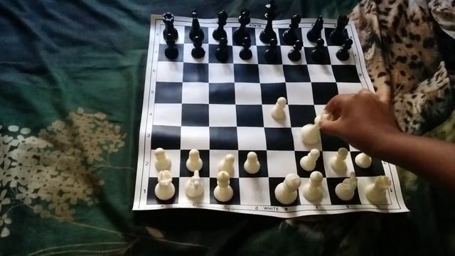 How to win the chess game in just 4 moves смотреть онлайн
