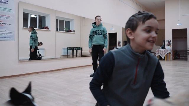 Корги. Канистерапия. Собаки помогают людям. смотреть онлайн