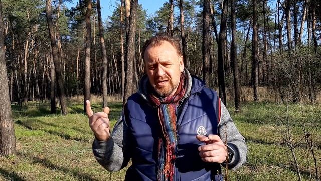 Как выгнать бабочек из головы.Остановка внутреннего разговора. Биохакинг. смотреть онлайн
