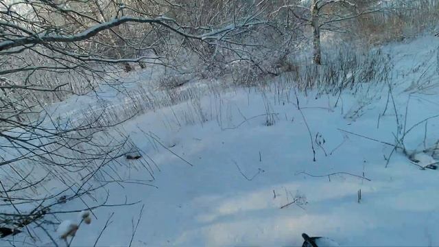 Покатушки по Февральскому лесу на Arctic Cat 570 XT ( ч.1). смотреть онлайн