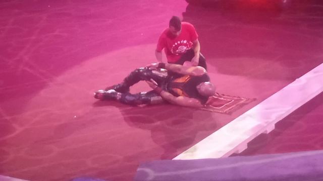 Мы в цирке смотреть онлайн