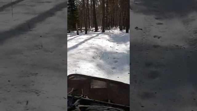 Квадроцикл Yamaha Grizzly 700 по снегу смотреть онлайн