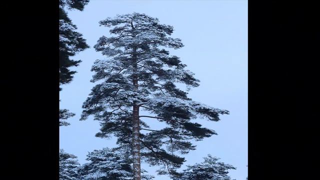 зима холода 2 смотреть онлайн