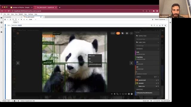 Pandas-Style Queries for Computer Vision Data смотреть онлайн