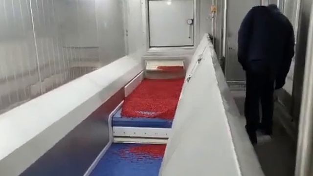 Первый пуск морозильного IQF туннеля с брусникой смотреть онлайн