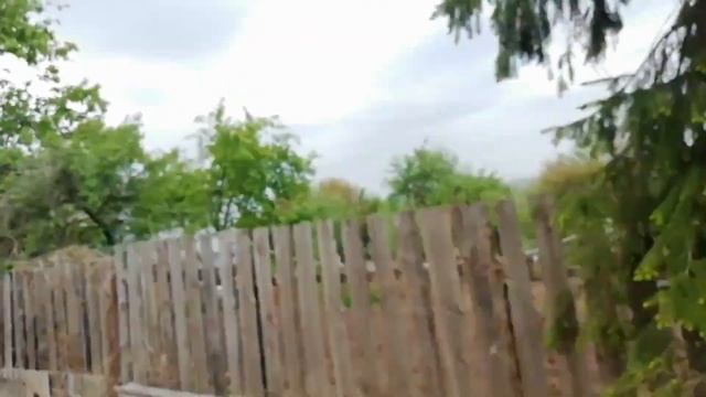Как Избавиться от ПЛЮЩА НА ОГОРОДЕ? Культивируем заросший огород - убираем плющ. Лютый Фермер смотреть онлайн