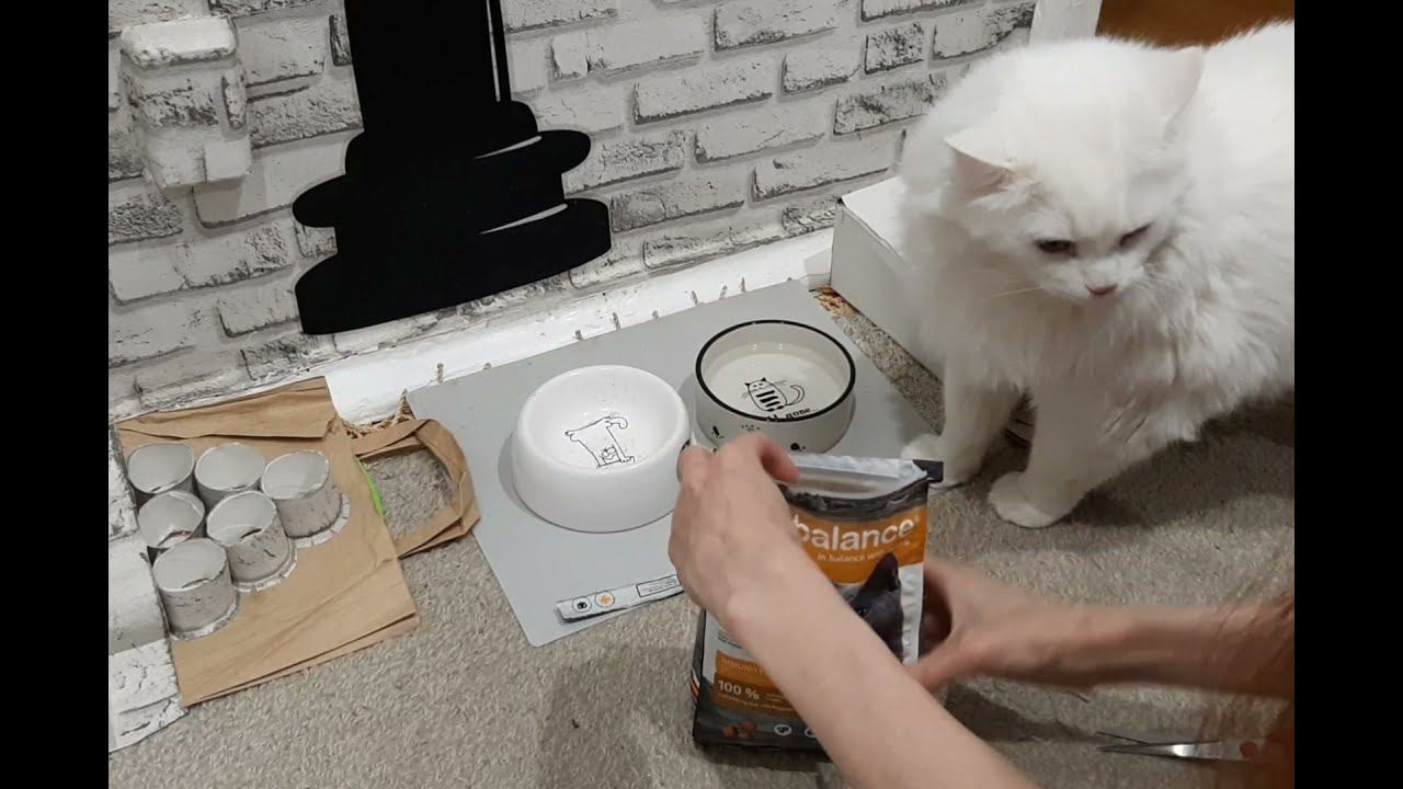 Свен и Probalance Adult Immuno Protection смотреть онлайн