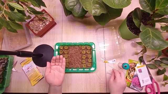 Держись, нетипичный фермер))) Я проверю, как это работает на самом деле) смотреть онлайн